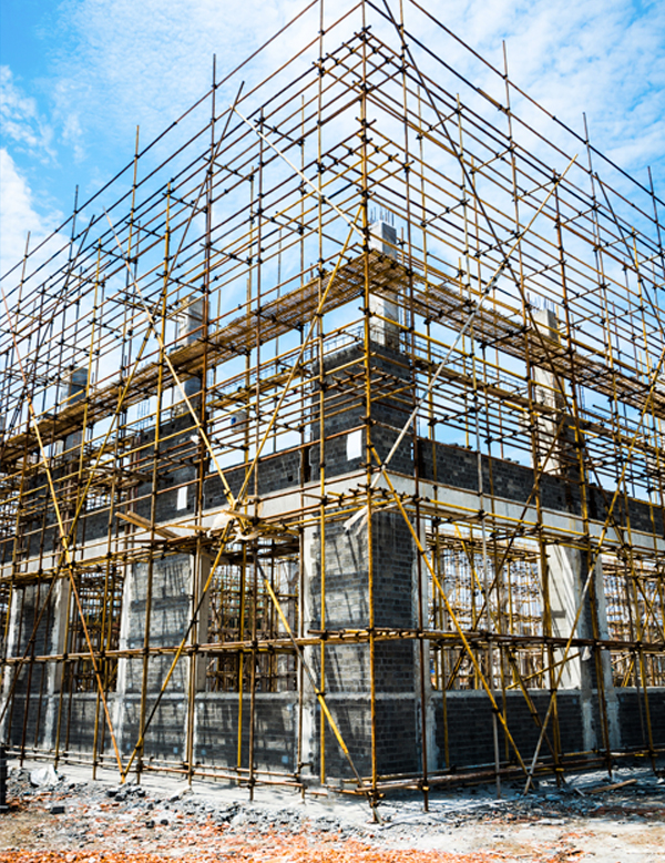 Benefícios do Moshe 3000